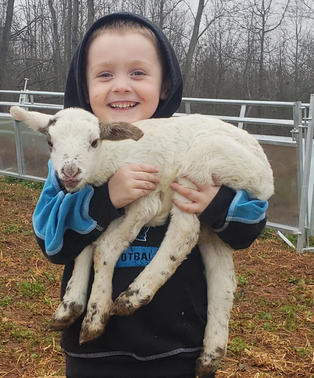 Smiling child holding a white lamb in a farm setting with trees in the background, showcasing a joyful connection between kids and animals.