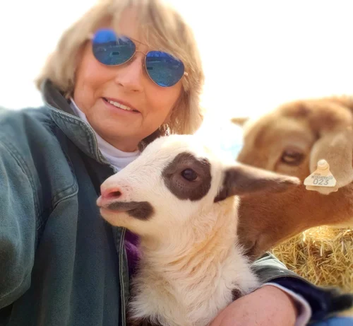 Woman wearing sunglasses smiling while holding a young goat, with a cow in the background on a sunny day.